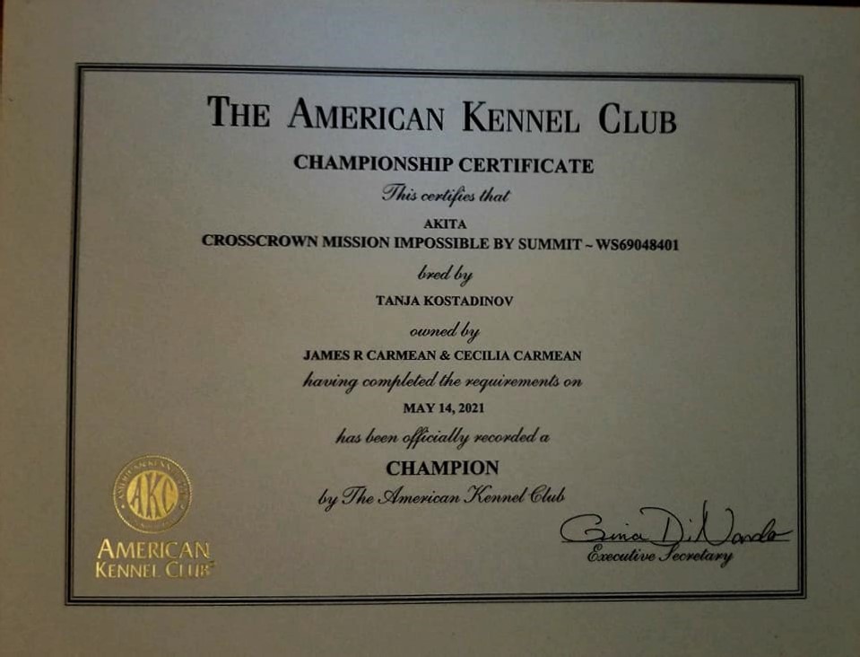 AKC CH. Certificate