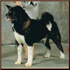 Attica25_small (1)