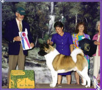 BrewBIS_small
