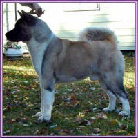 Bruce112004_small