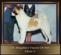 CH–Regalia’s-Traces-Of-Fir_small