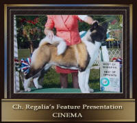 CH-_Regalia’s_Feature_Prese_small
