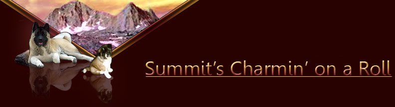 CharmTitle