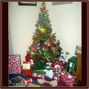 Christmas2010B
