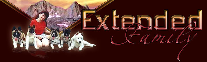 ExtFamilyTitle