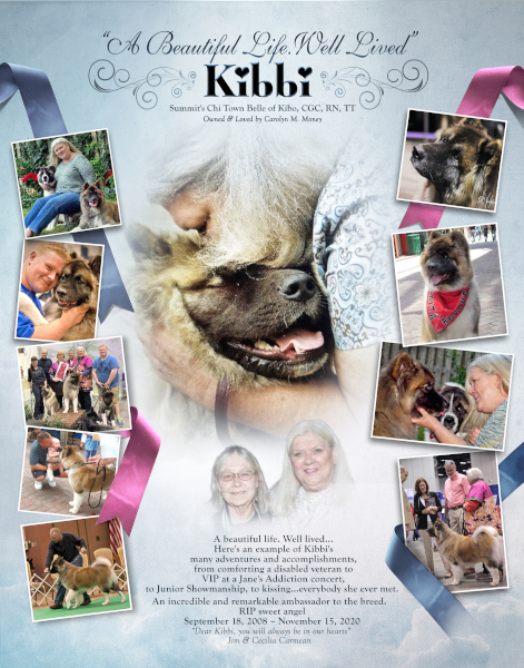 KibbiTribute