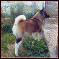 SJ7Years_small
