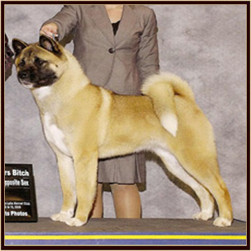 Sheva32013a