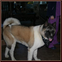 Sumo1_small (1)