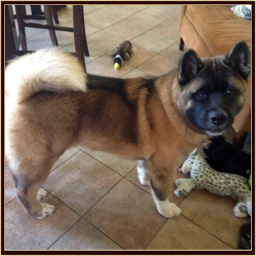 Zeus7-22-14a (1)