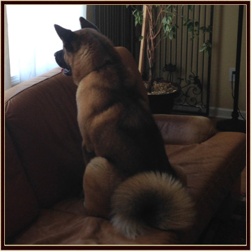 Zeus7-22-14b (1)