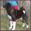 attica_small1