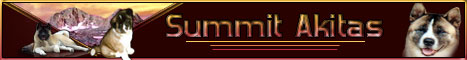 banner —