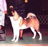 kaminari_small1