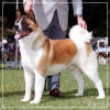maxx_small
