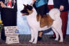 odori_small