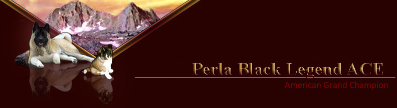 perlapagetitle