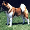shooter_small (2)