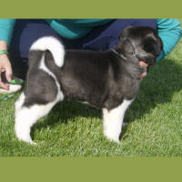 2009ALitter2_small