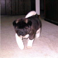 2009ALitter7_small