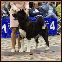 Attica11_small