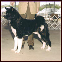 Attica1_small (2)