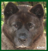Attica’s dam Cherokee_small (3)