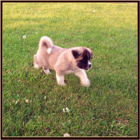 BG14_small