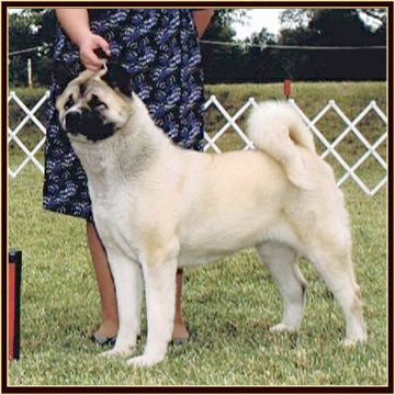 BG18MonWin (1)
