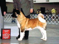 BearDusksKatie_small