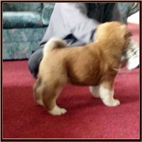 BigRed2_small
