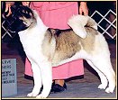 Blanca-DamImg