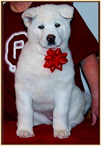 Blanca-PhotoImg0