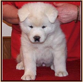 Blanca-PhotoImg1