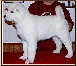 Blanca-PhotoImg2