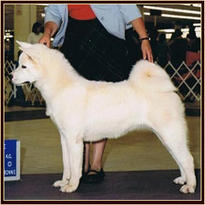 Blanca3