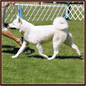 Blanca5