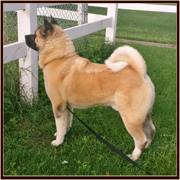 Bucky7-14b