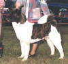 CHBrookStatenKoshareofHokaHey_small (1)