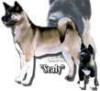 CHHokaHeyEagleWhen_small