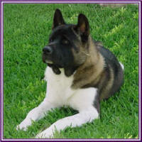 Cato1year_small