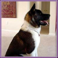 Cato2_small