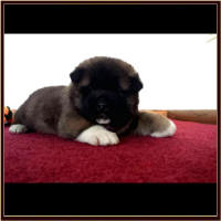 Chunk1_small
