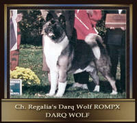 Darq_small