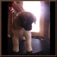Girl3-12b_small