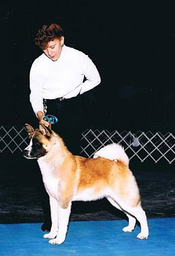 Jazzy2