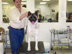 Molly22Mon_small