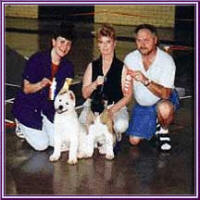 Puppies4_small