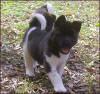 PyramidGirl-7wks-img001_small