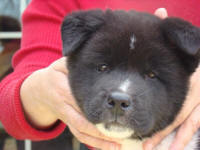 Tux_small